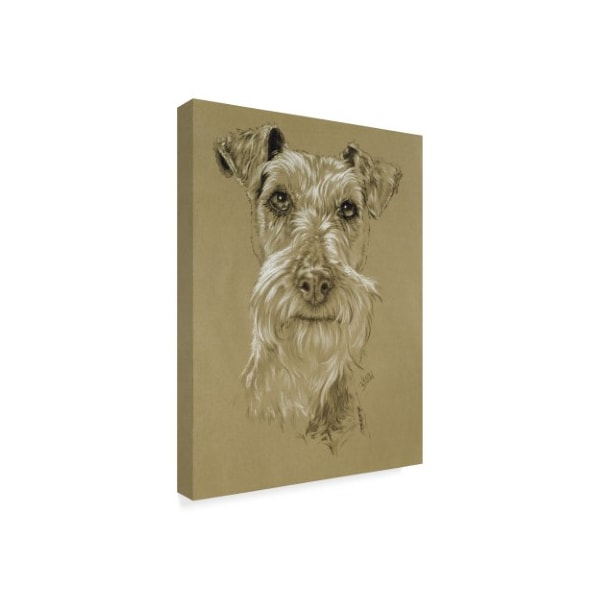 Barbara Keith 'Irish Terrier' Canvas Art,35x47